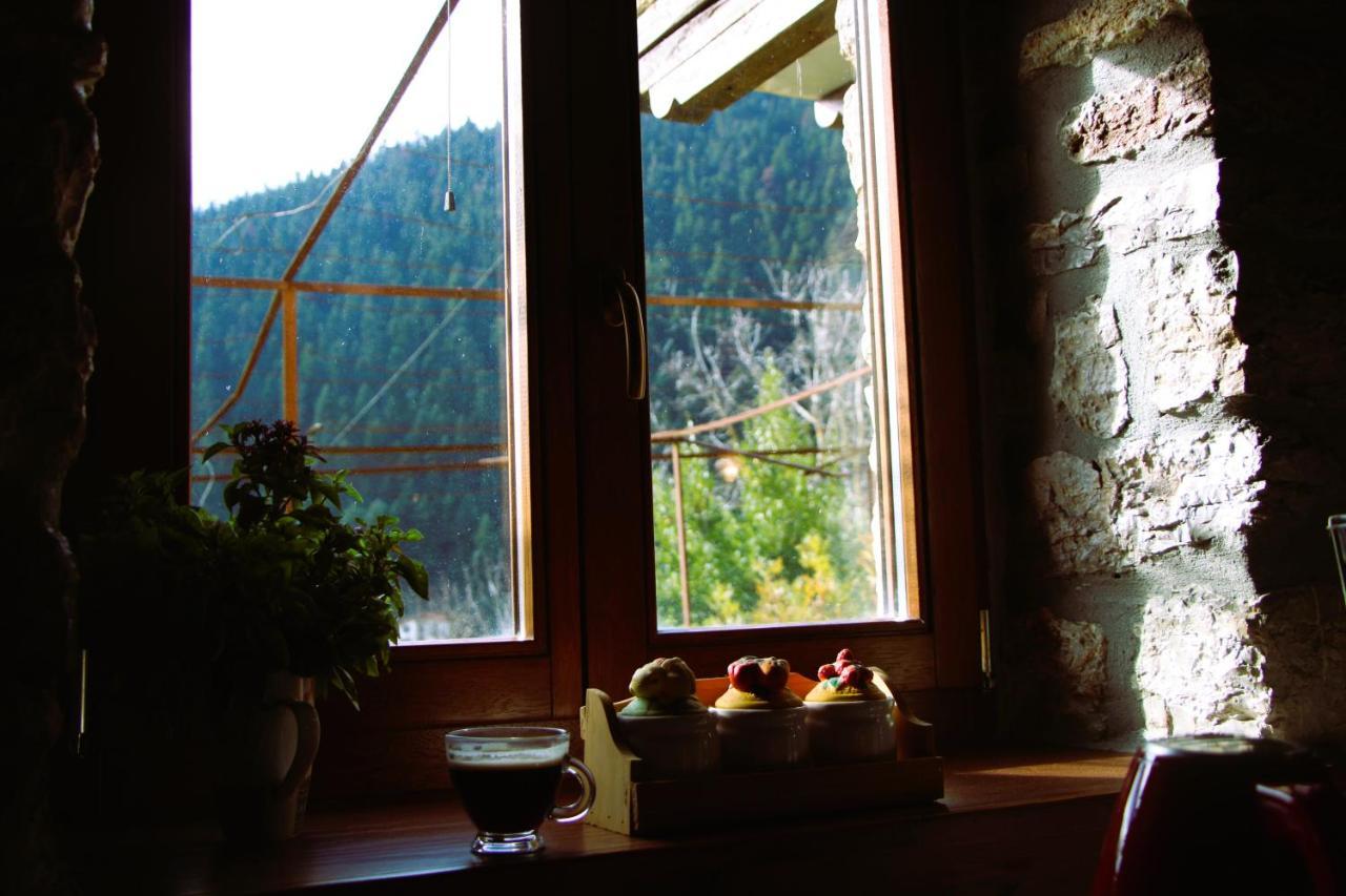 Gorianades Traditional House Hébergement de vacances